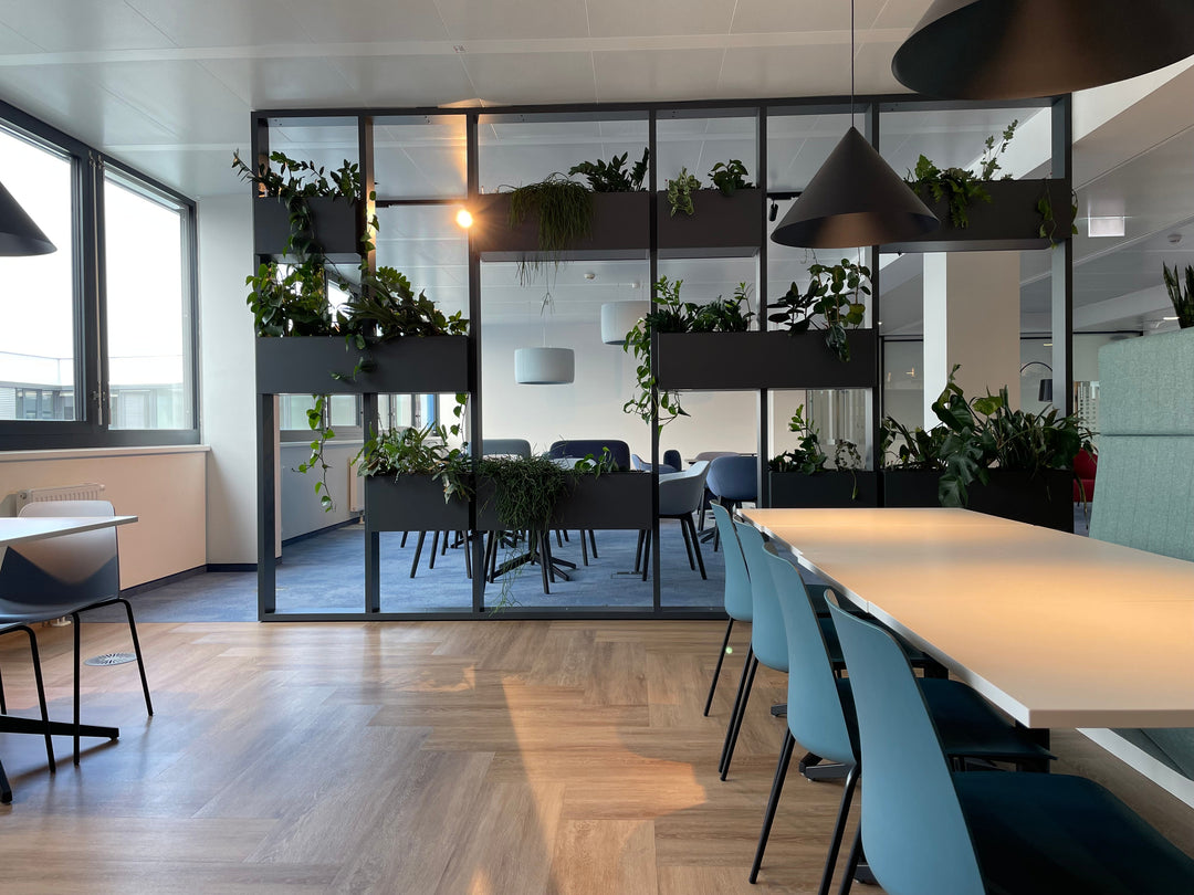 7 Sustainable Office Design Trends
